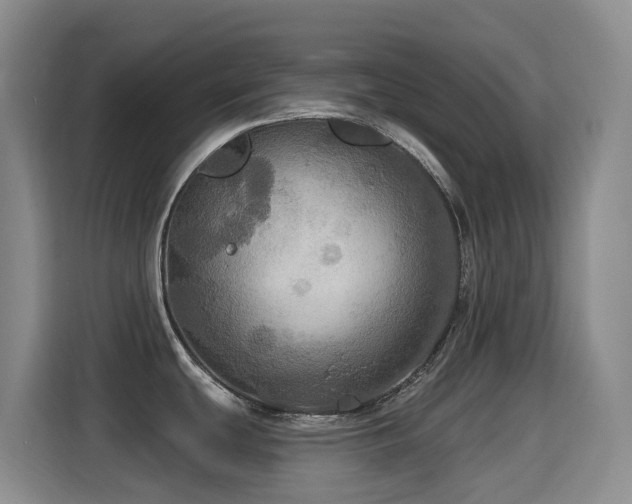 X0000114611439200910201144