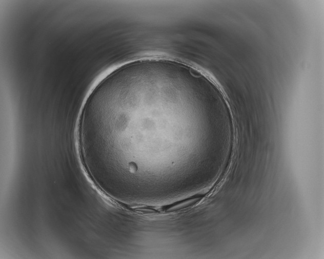 X0000114611440200910201144