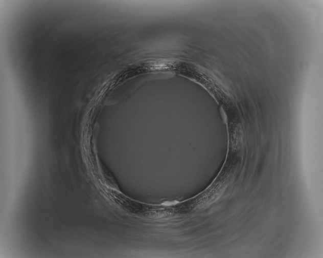 X0000114611441200910201143