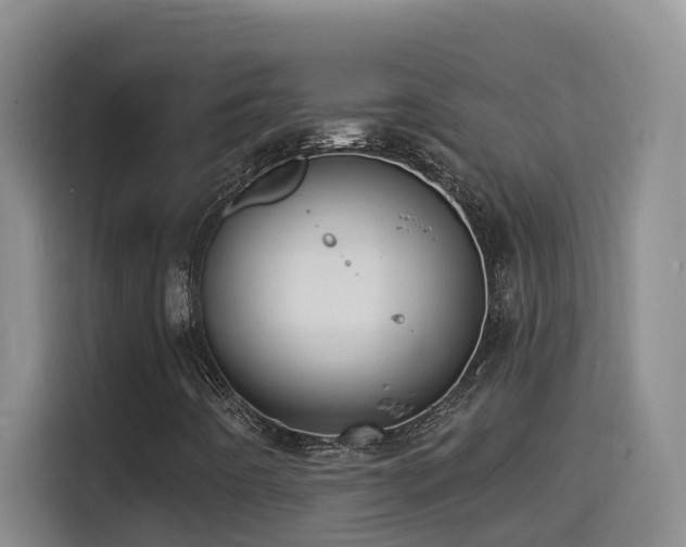 X0000114611442200910201143