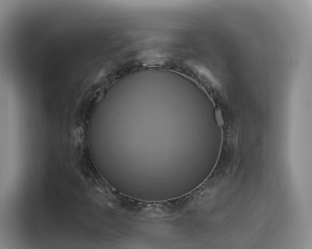 X0000114611445200910201143