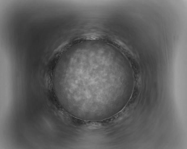 X0000114611446200910201143