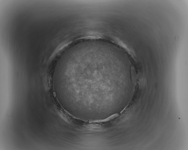 X0000114611448200910201143