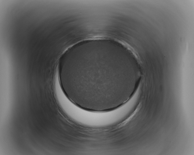 X0000114611449200910201143