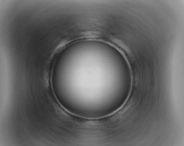 X0000114611451200910201143