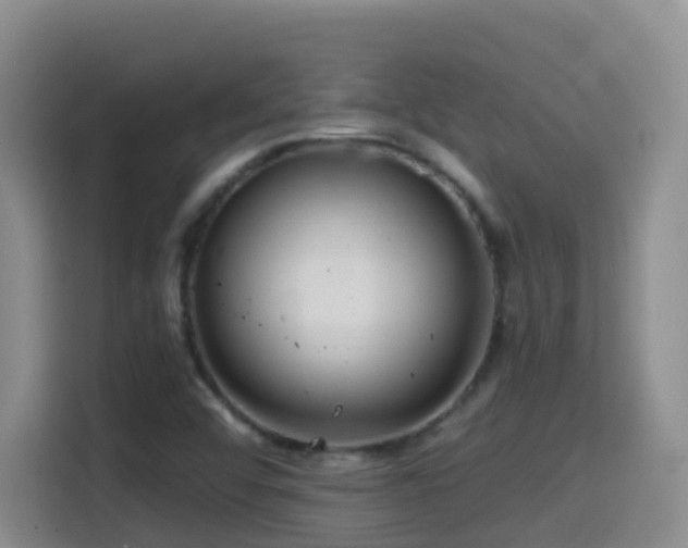 X0000114611456200910201143