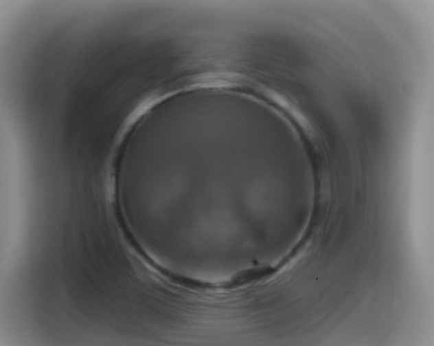 X0000114611459200910201143