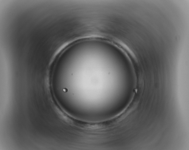 X0000114611460200910201143