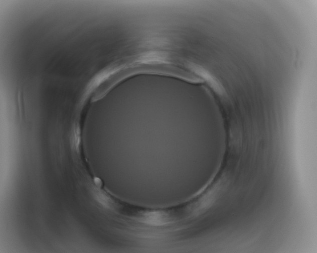 X0000114611461200910201143