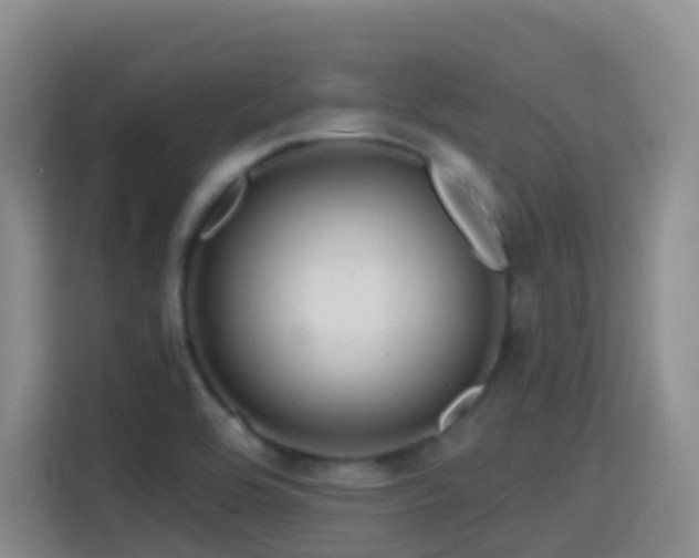 X0000114611464200910201143