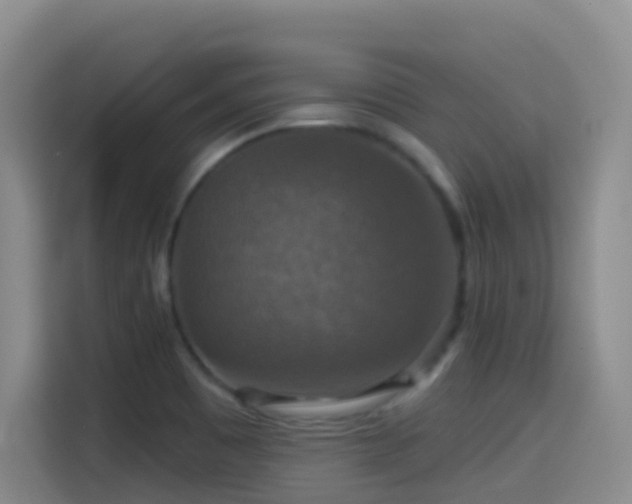 X0000114611465200910201143