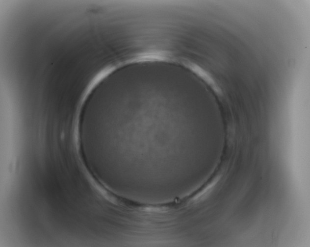 X0000114611469200910201143