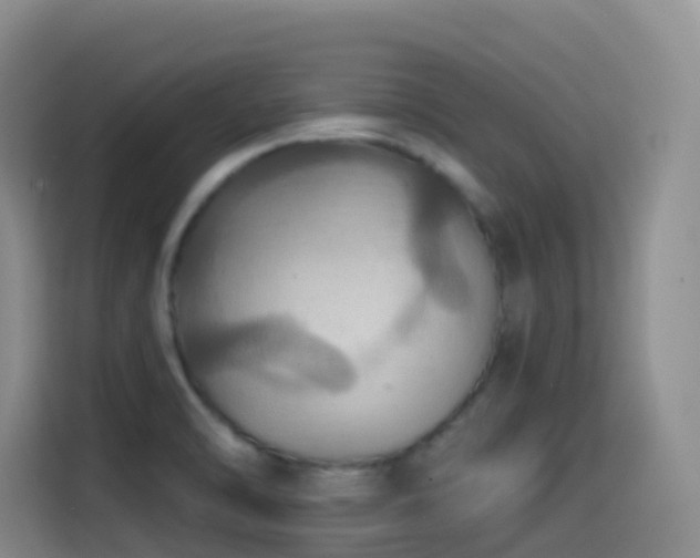 X0000114611470200910201143