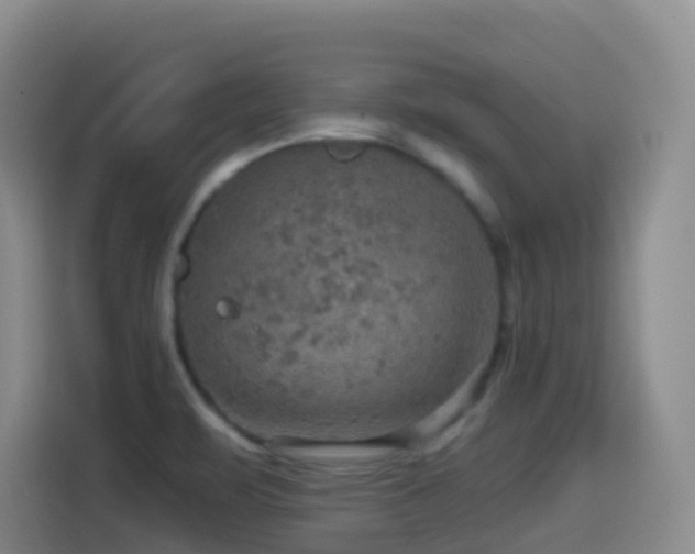 X0000114611471200910201143