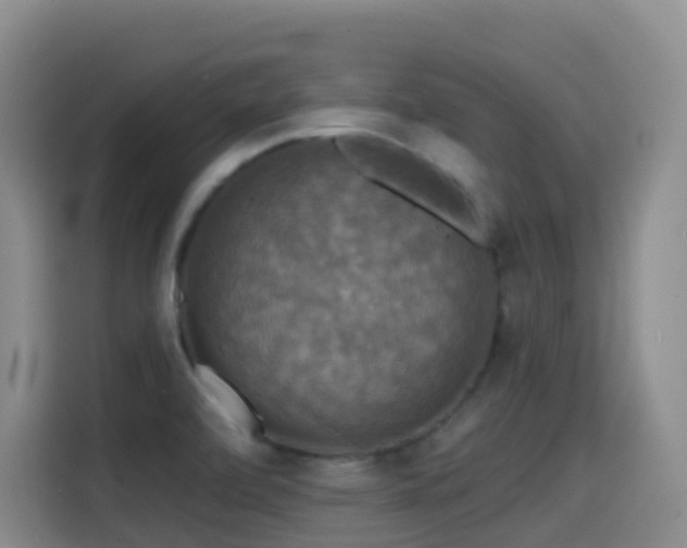 X0000114611472200910201143