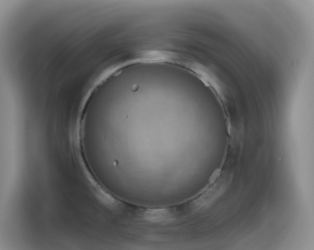 X0000114611477200910201142