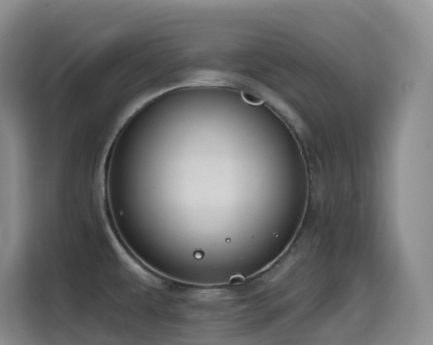 X0000114611479200910201142