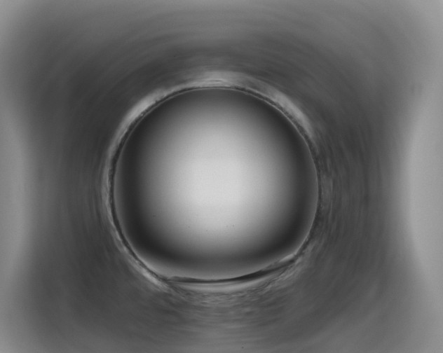 X0000114611480200910201142