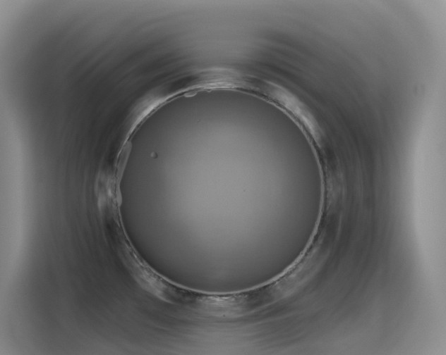 X0000114611481200910201142