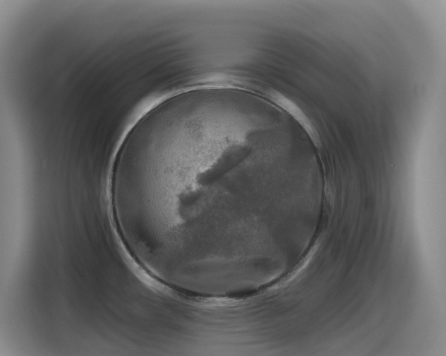 X0000114611482200910201142