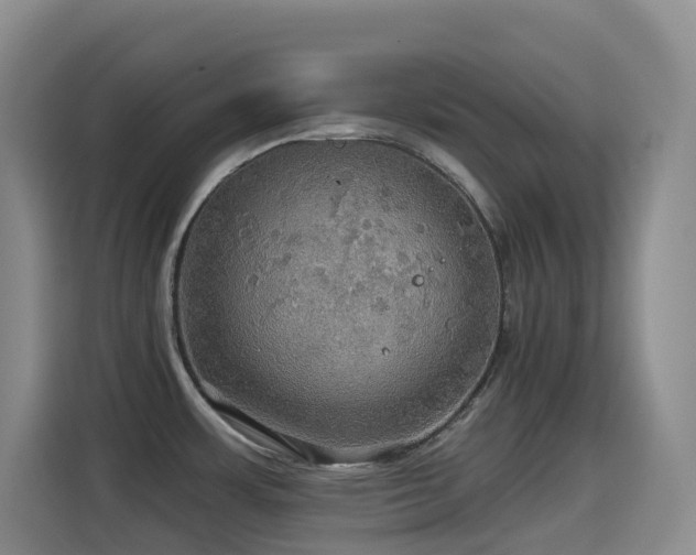 X0000114611483200910201142