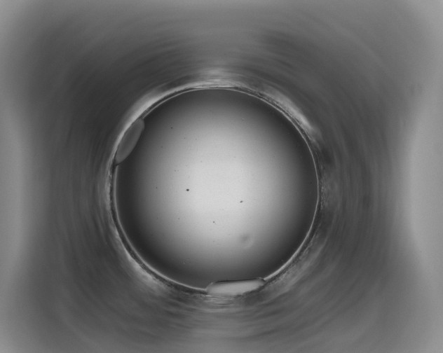 X0000114611484200910201142