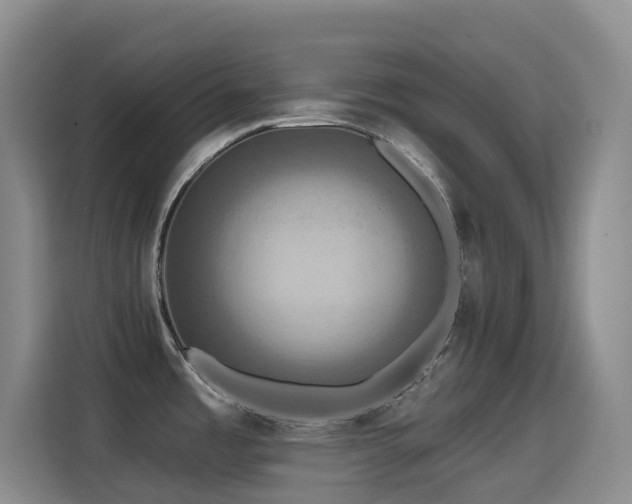 X0000114611485200910201142