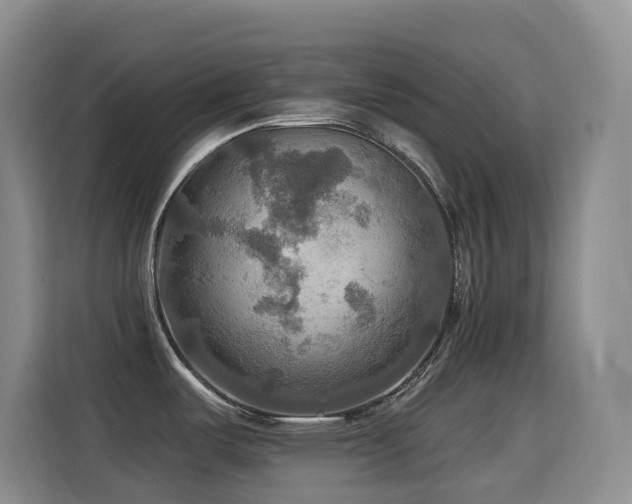 X0000114611487200910201142