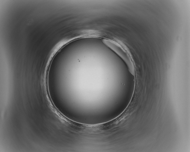 X0000114611488200910201142