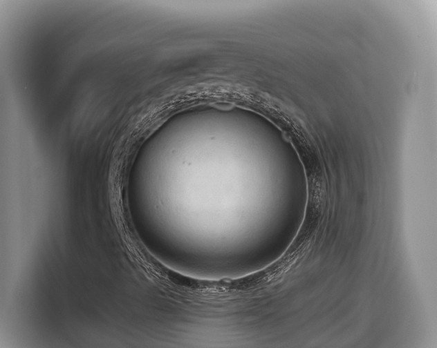 X0000114611489200910201142