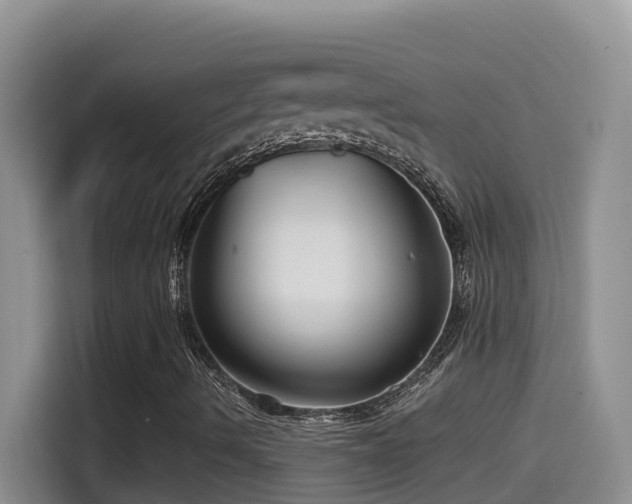 X0000114611490200910201142