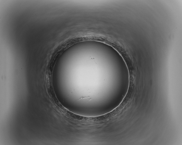 X0000114611493200910201142