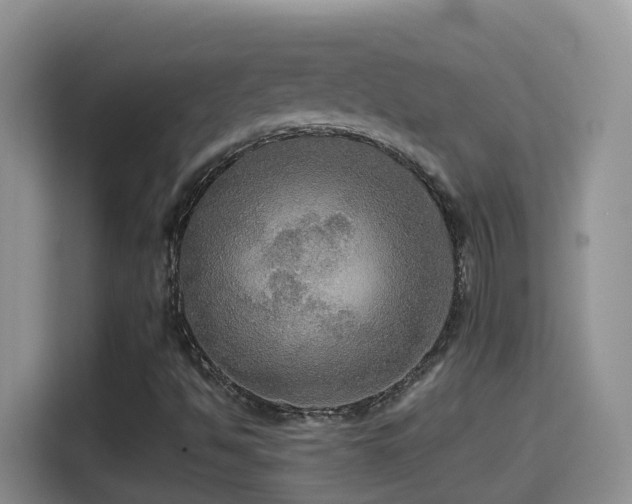 X0000114611494200910201142