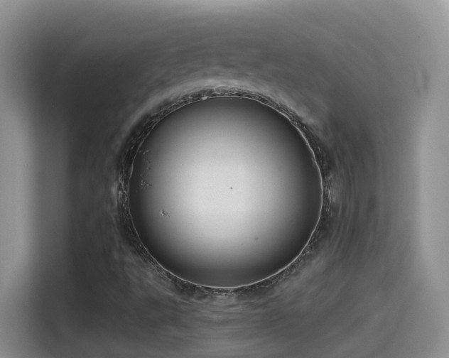 X0000114611495200910201142