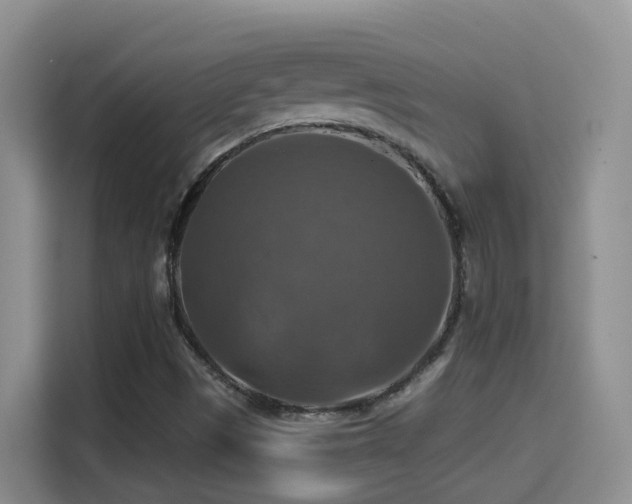 X0000114611497200910201142