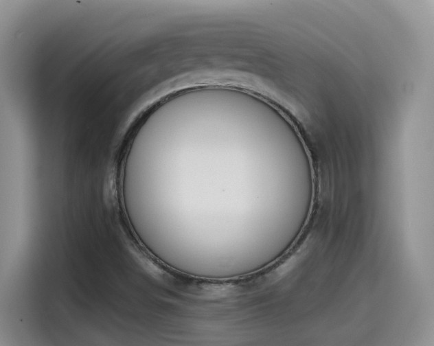 X0000114611498200910201142