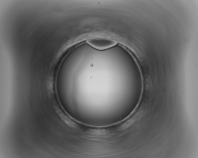 X0000114611499200910201142