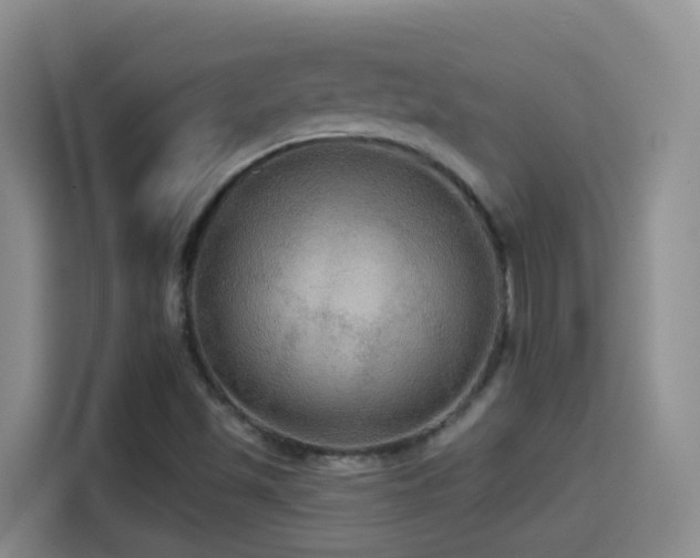 X0000114611501200910201142