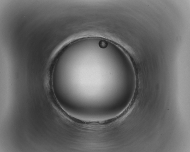 X0000114611502200910201142