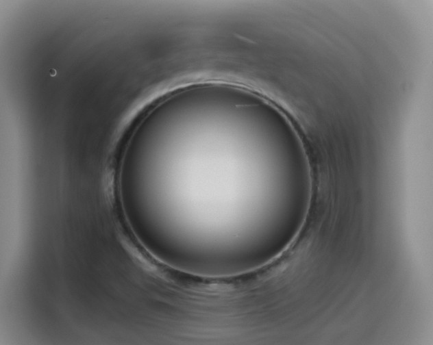 X0000114611503200910201142