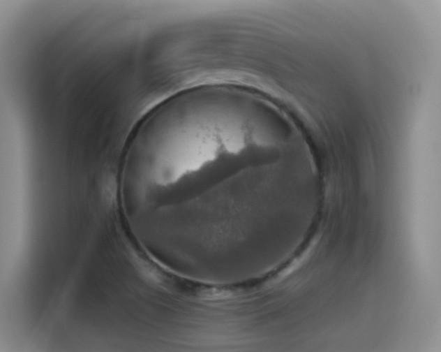 X0000114611505200910201142