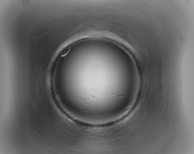 X0000114611506200910201142