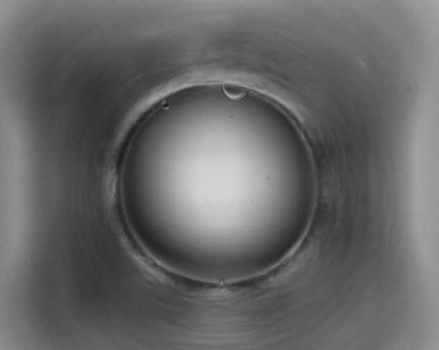 X0000114611507200910201142