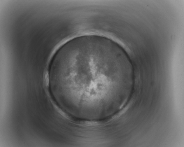 X0000114611509200910201142