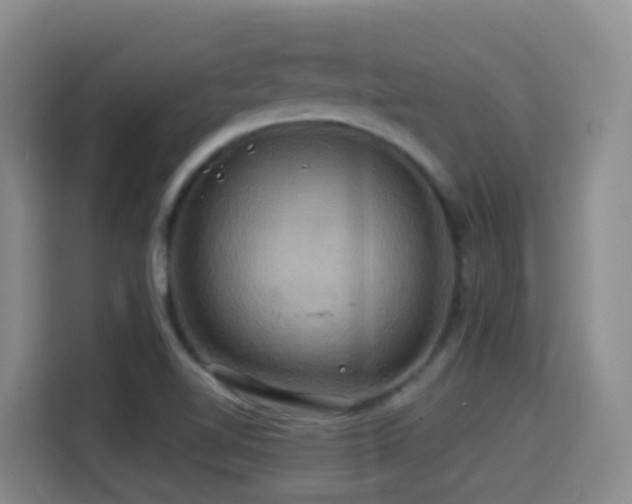 X0000114611510200910201142