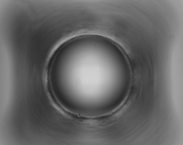 X0000114611511200910201142