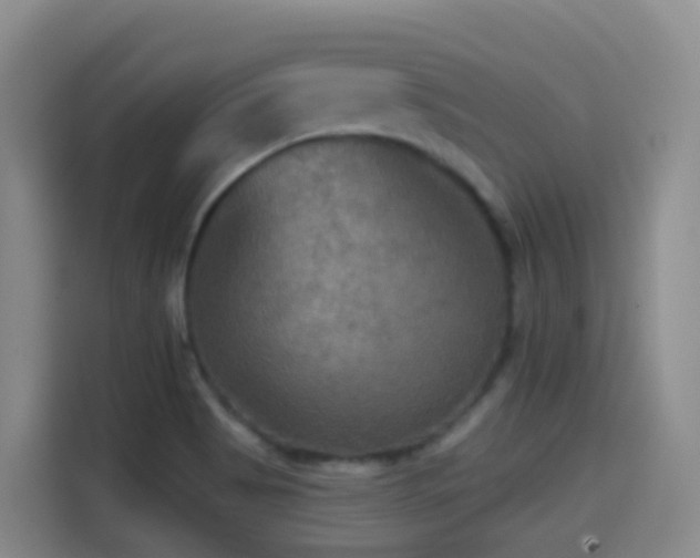 X0000114611513200910201142