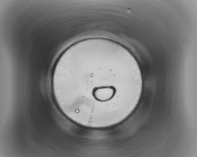 X0000114611514200910201142