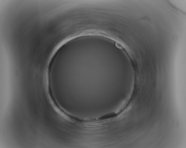 X0000114611515200910201142