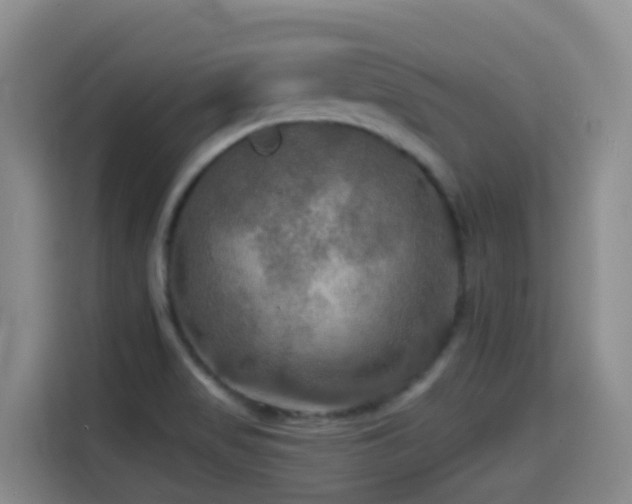 X0000114611517200910201142